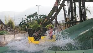 Parque Aventura d'Or