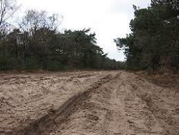 Oirschotse Heide