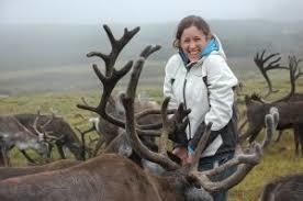 Cairngorm Reindeer Herd