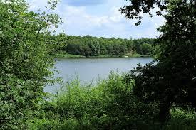 Kuinderbos