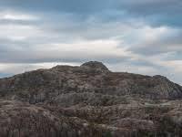 Vikastakken