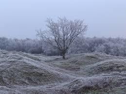 Naturschutzgebiet Oranjezon