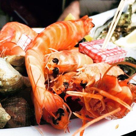 Les Viviers Charentais