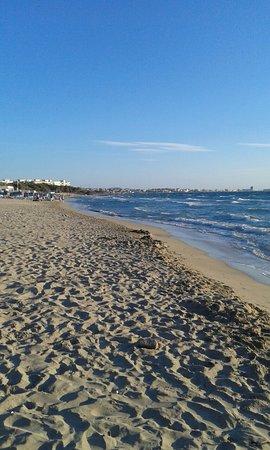 Frisci E Mangia Friggitoria