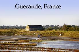 Guerande salt marshes