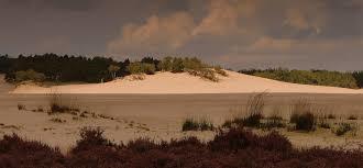 Nationalpark De Loonse en Drunense Duinen