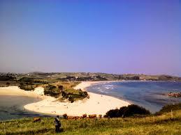 Playa de Oyambre