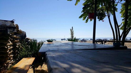 Degustation Huitres Pontet