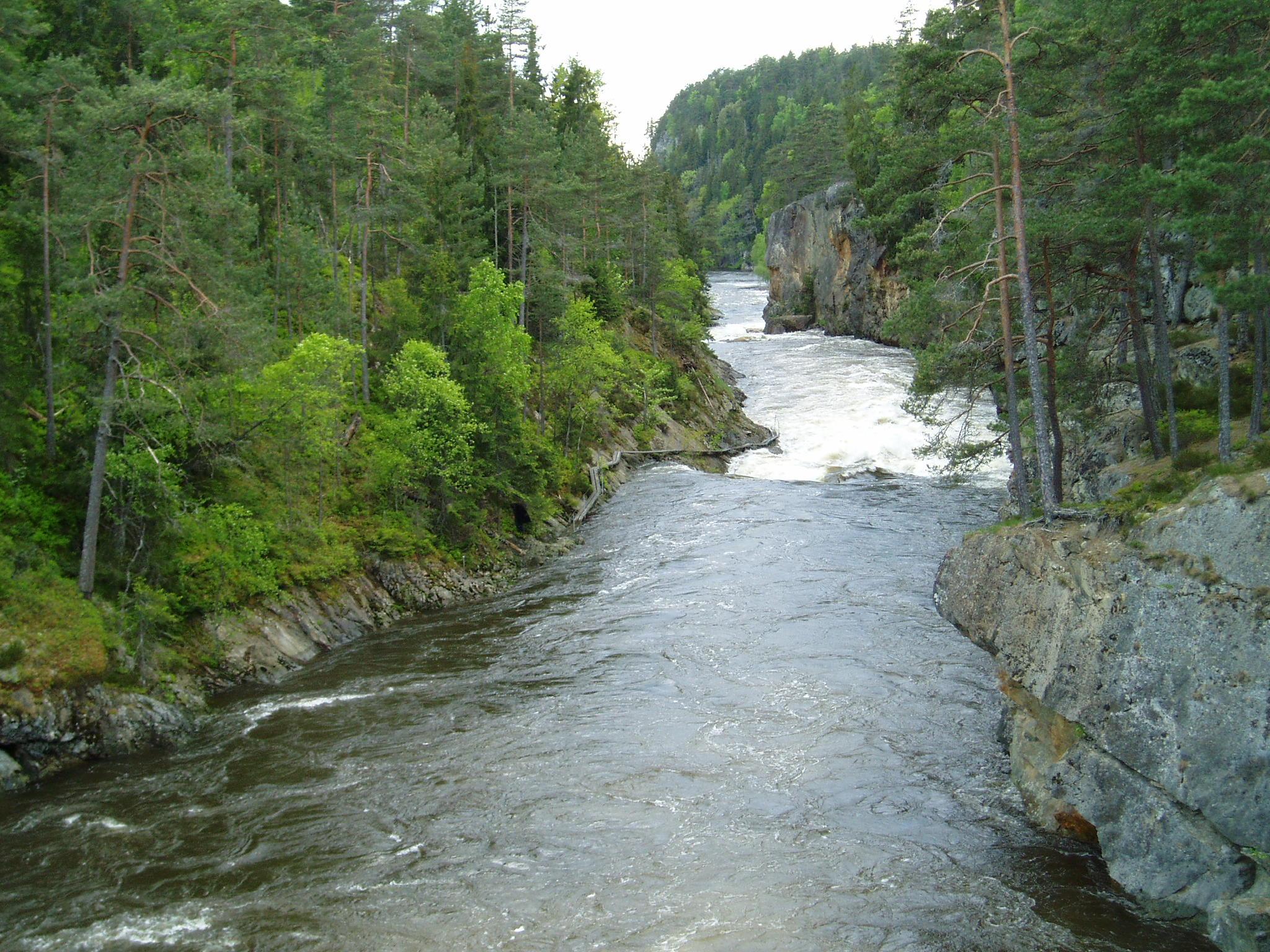 Agardselva