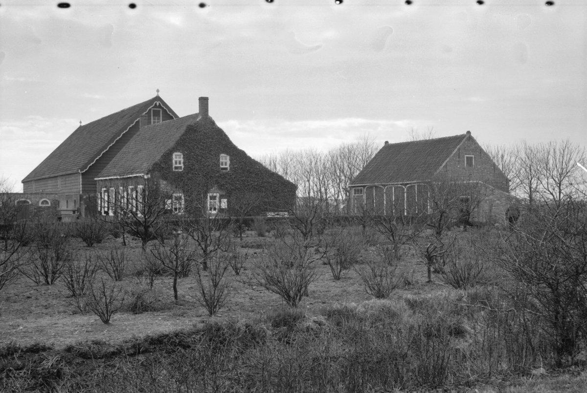Boerderij "Tramzicht"