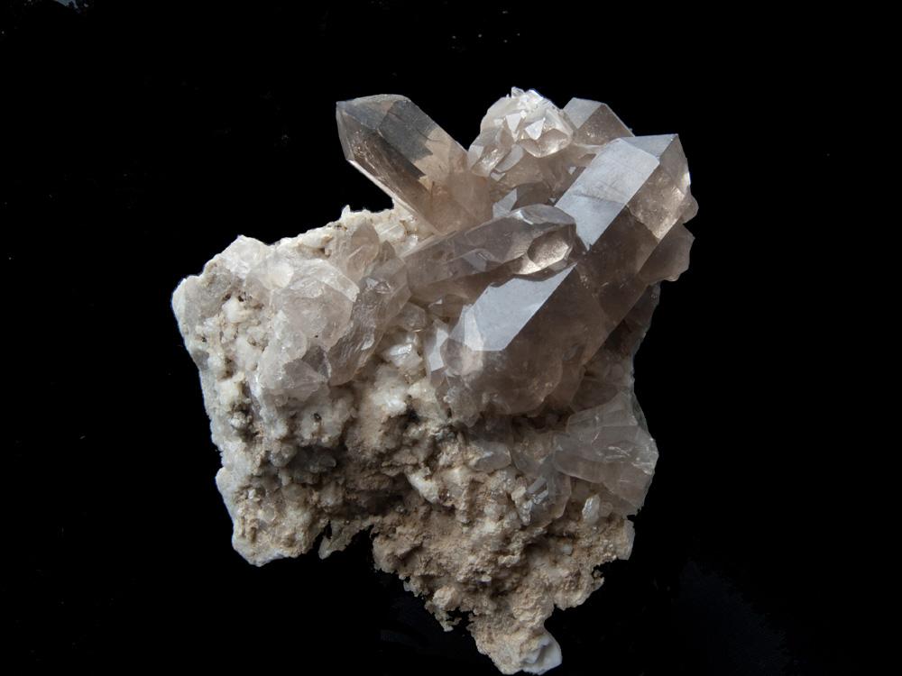 il Museo mineralogico e paleontologico del Cenacolo Italo Mus