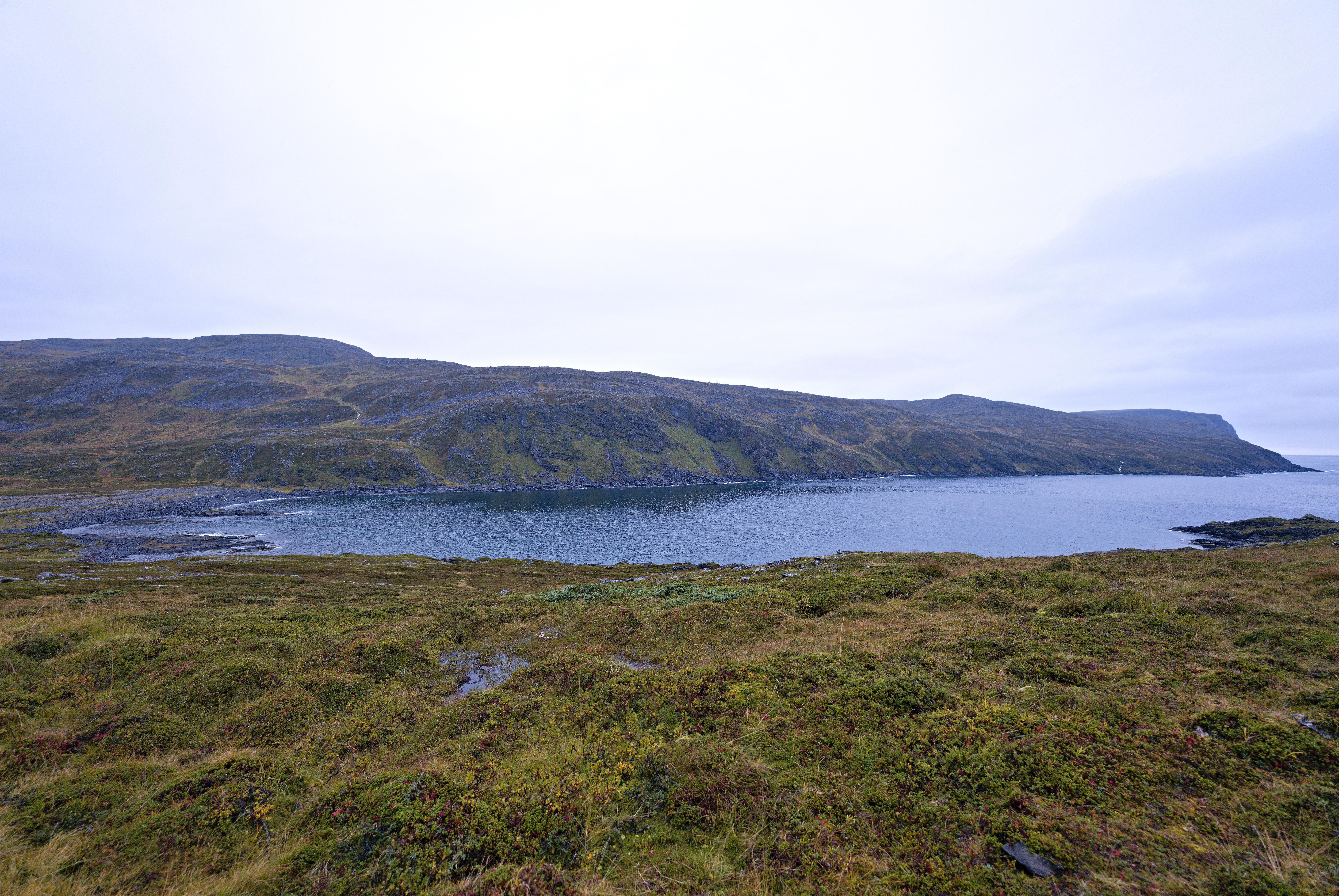 Vestfjorden