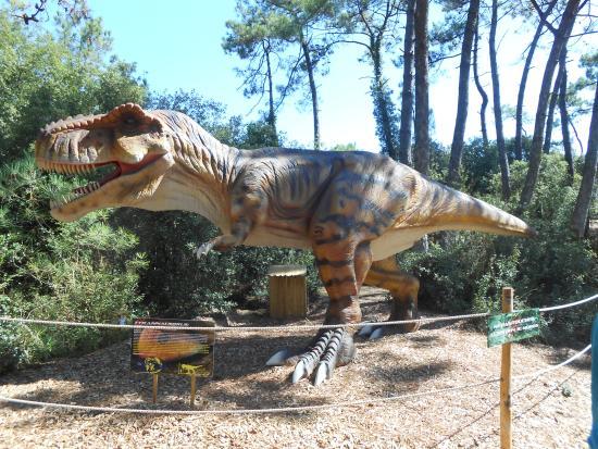 Dino's Park