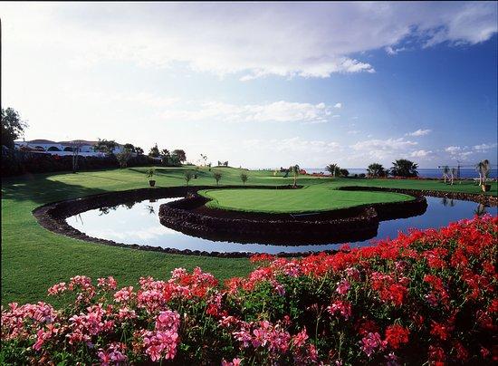 Amarilla Golf