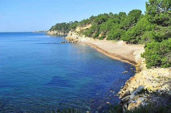 Cala de l'Aliga
