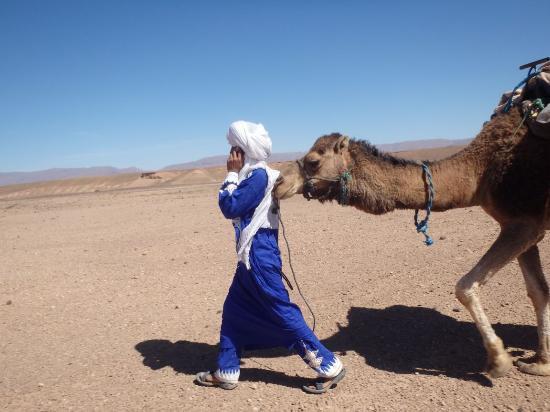 Camel Trek Morocco