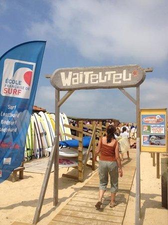 Ecole de Surf La Dune