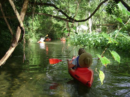 BeachnRiver Canoe and Kayak Rentals
