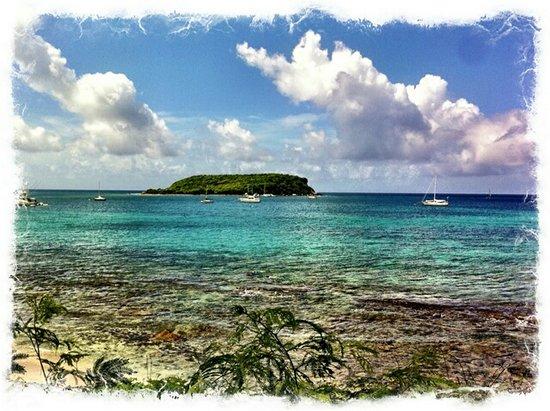 Vieques Adventure Company