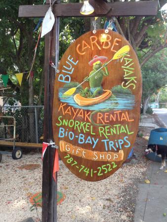Blue Caribe Kayaks