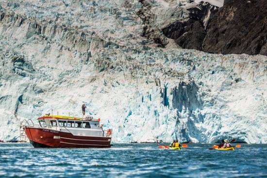 Sunny Cove Sea Kayaking