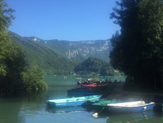 Vertes Sensations