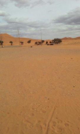 Omerzouga Tours