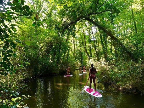 Supland Stand Up Paddle