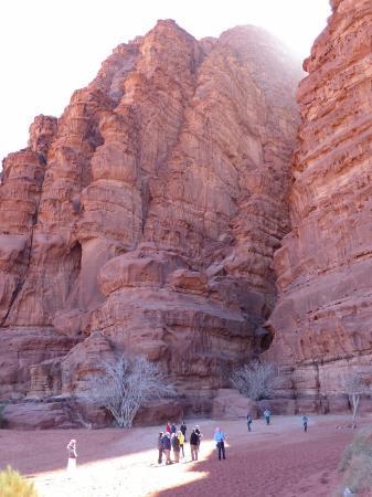 Real Bedouin Experience Tours & Camp