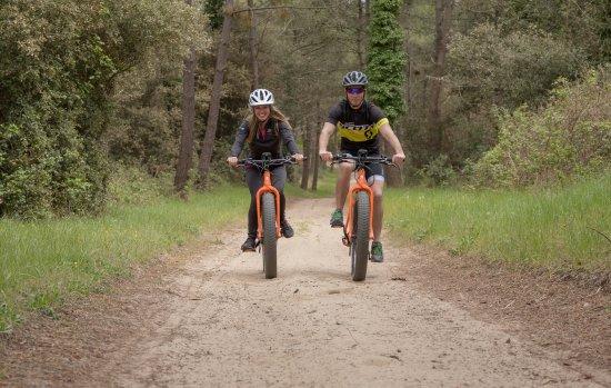 Fat Sand Bikes 17