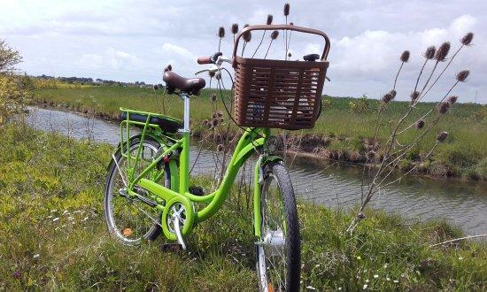 Velivelo