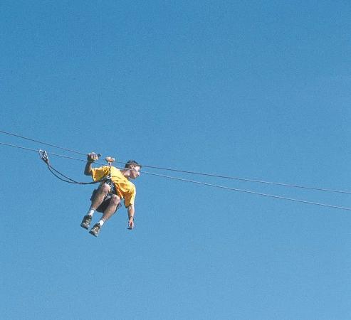 Piriac Adventure Tree climbing