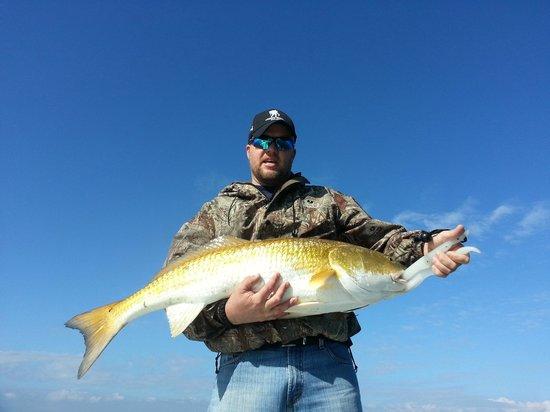 South Again Charters