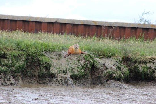 Wildlife Boat Trips