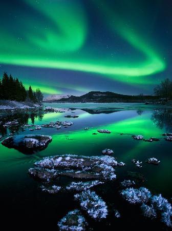 Lofoten Tours