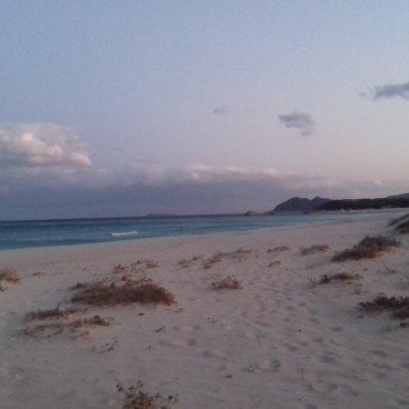 Spiaggia delle Ginestre