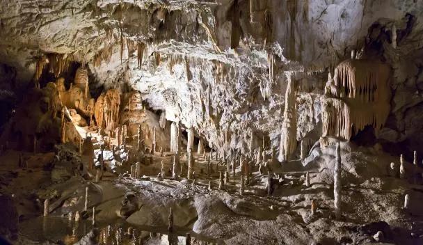 Grotte d'Adelsberg