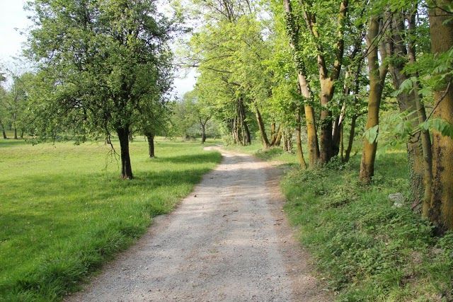 Parco dei Lagoni di Mercurago