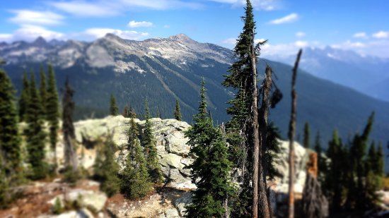 Mount-Revelstoke-Nationalpark