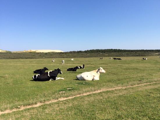 Strandfogedgaarden I Rubjerg
