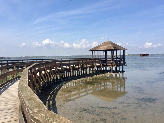 Il Giardino Botanico di Porto Caleri