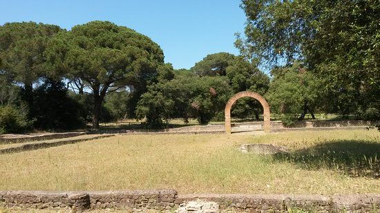 Parco Urbano Pineta di Castel Fusano