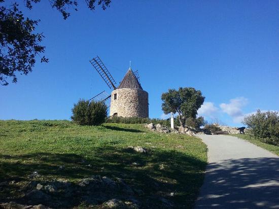 St Roch's Mill