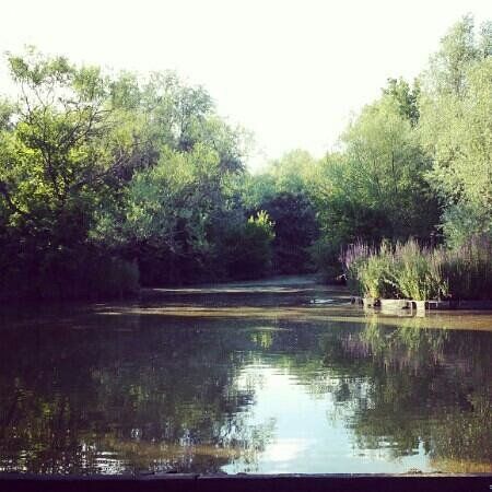 Gazen Salts Nature Reserve