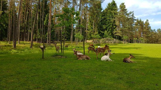 Wildpark Hufeisen