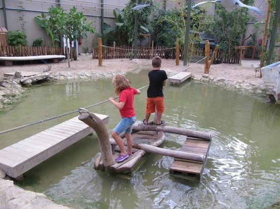 Berkenhof 's Tropical Zoo & Vlindertuin