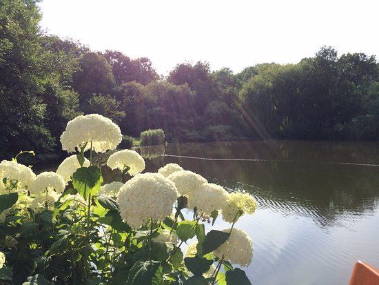 Distilleerderij 't Nieuwe Diep