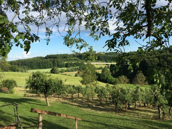 Farm Firbas