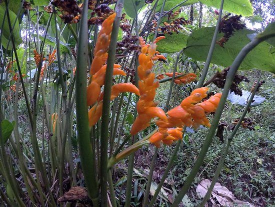 Reserva Natural Paraiso Andino