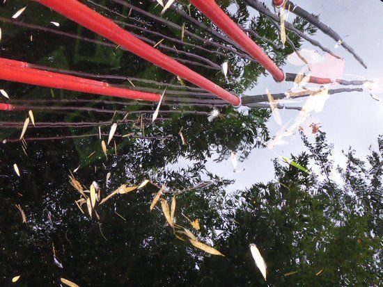 Jardins du Château de Chaumont